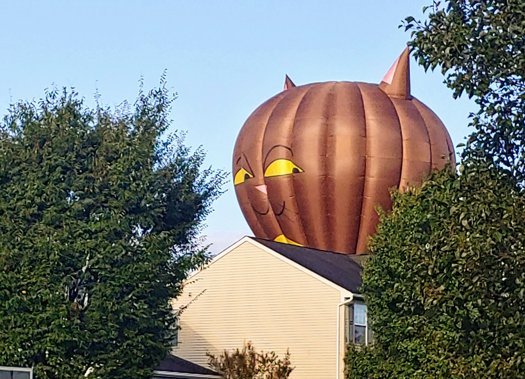 photo_ft_news_hot air balloon 2_100720.jpg